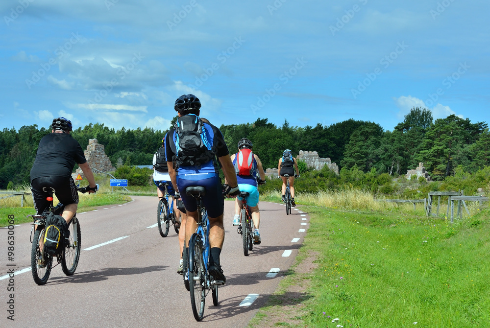group of cyclists going on the road in the countryside group of cyclists going on the road in the countryside