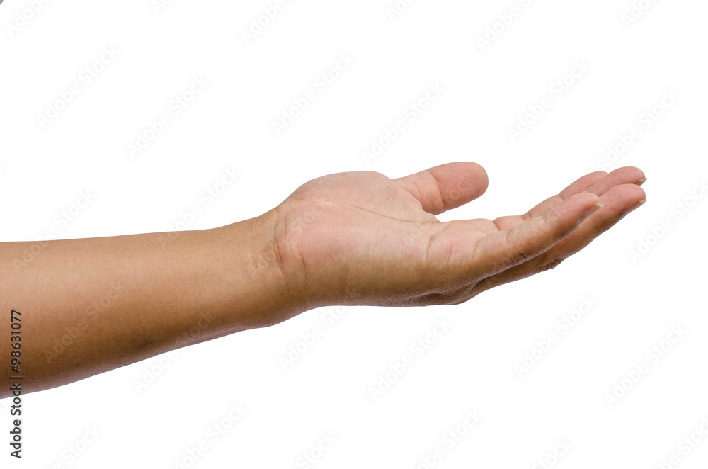 hand reaching for something isolated on a white background hand reaching for something isolated on a white background
