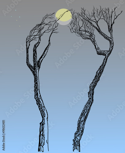 Two trees with bare branches. Games with the Moon.