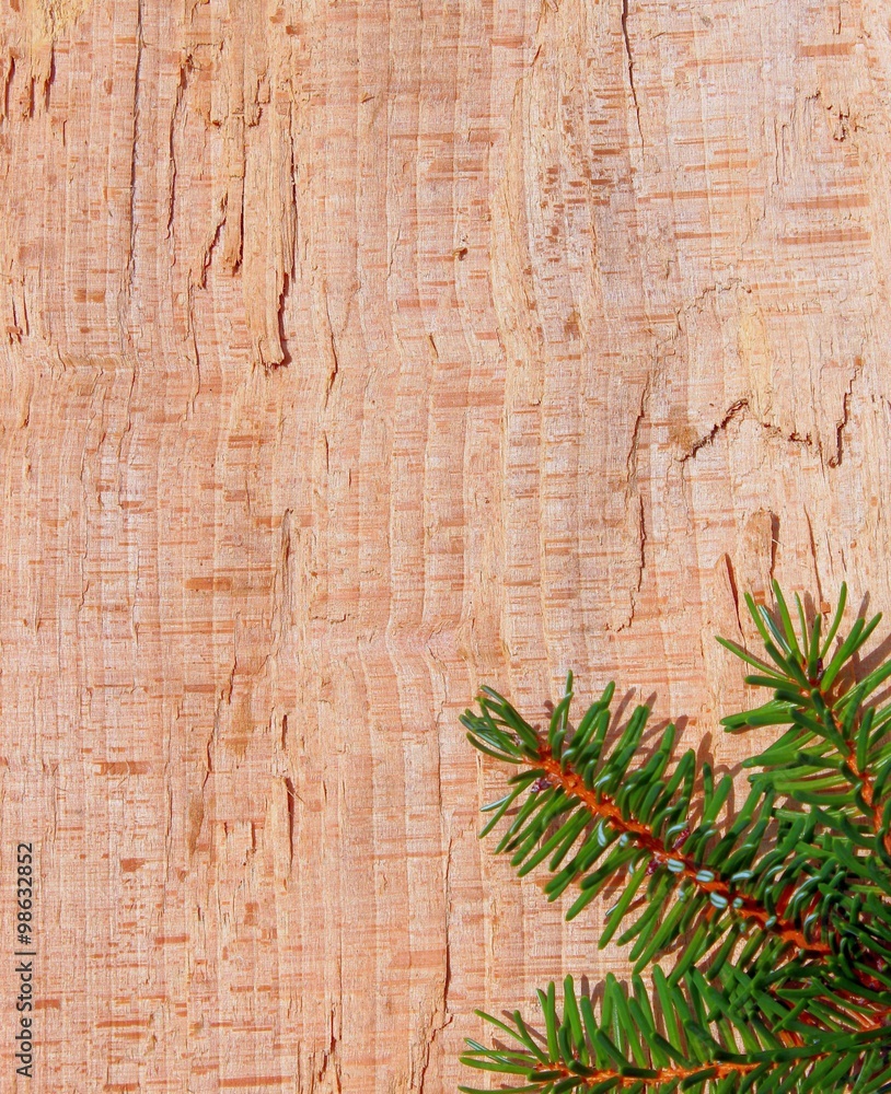 tannenzweig auf holz tannenzweig auf holz