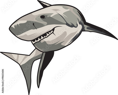 Vector illustration: toothy white shark