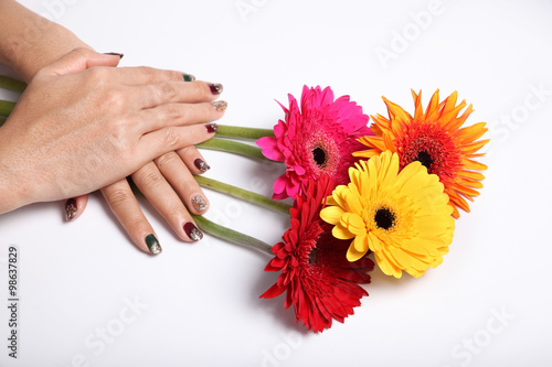 gerbera flower and hands in isolated white background decoration