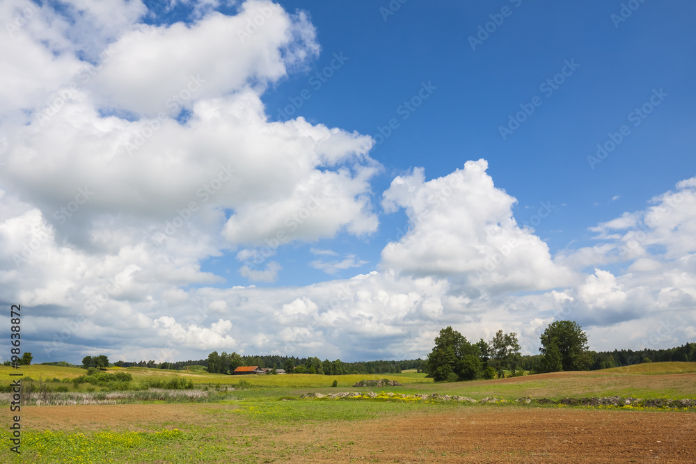 Agricultural landscape, blue sky on the horizon.
