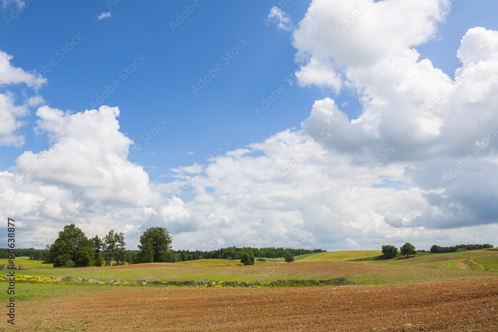 Agricultural landscape, blue sky on the horizon, beautiful weather.