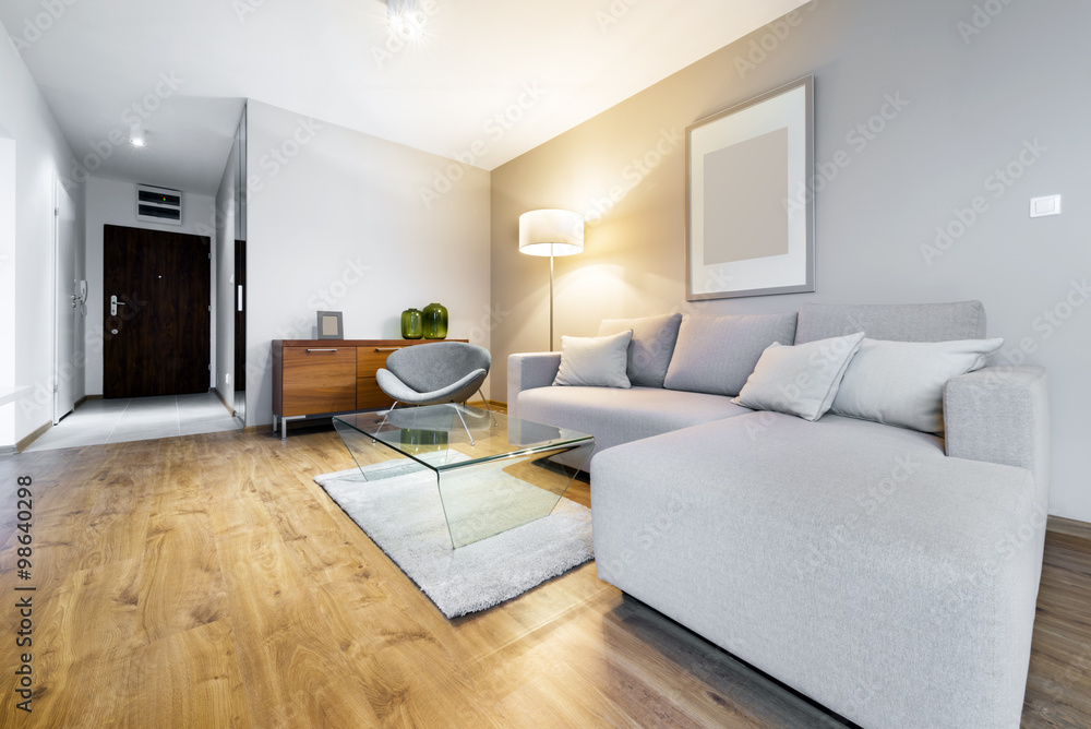 Fototapeta premium Modern interior design apartment
