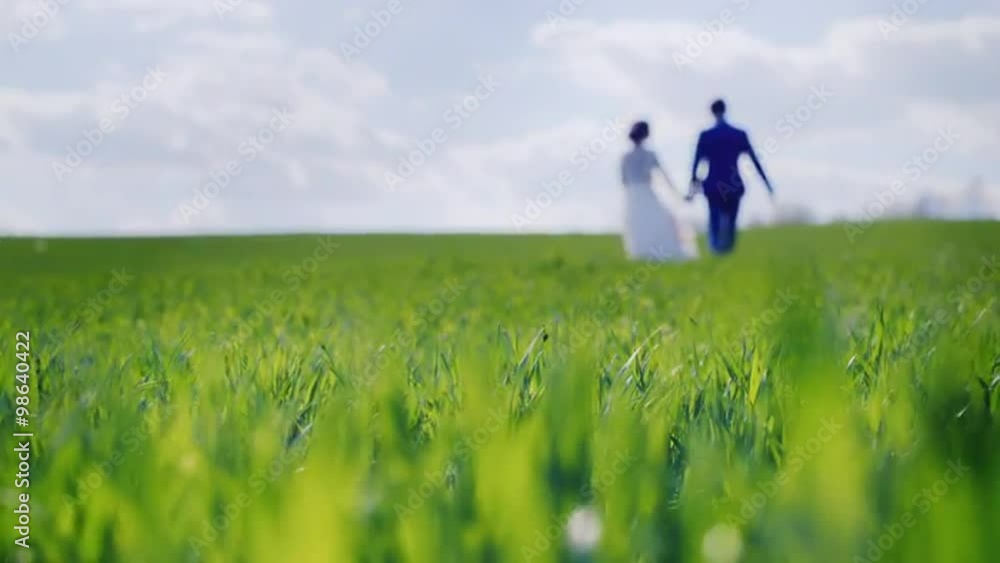 Blurred silhouettes of the newlyweds go away on green grass Blurred silhouettes of the newlyweds go away on green grass