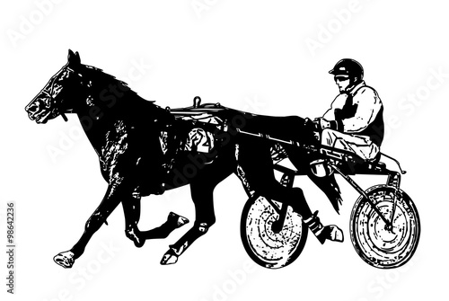 harness racing illustration - vector 
