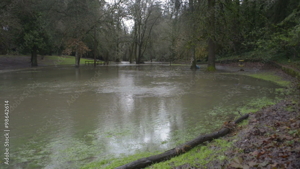 Hess Creek flooding in Herbert Hoover park in December 2015 at Herbert Hoover Park in Newberg, Oregon. Hess Creek flooding in Herbert Hoover park in December 2015 at Herbert Hoover Park in Newberg, Oregon.