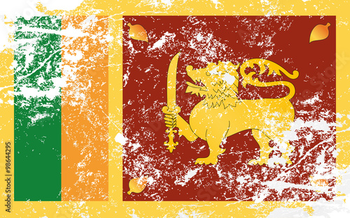 Sri Lanka Grunge Texture Flag