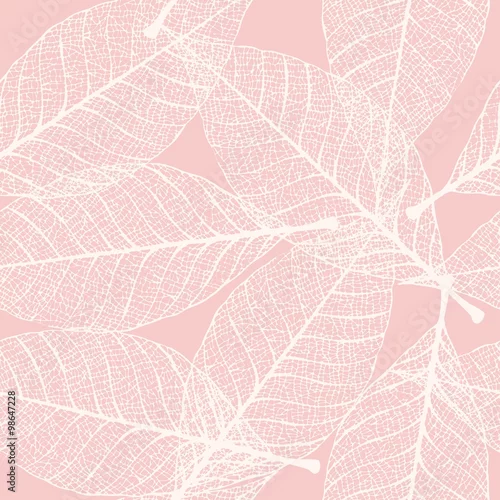 Tapety Szkieletowe liście bez szwu