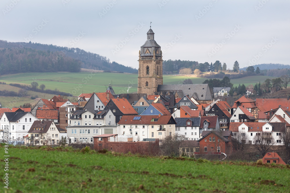 bad wildungen historic city panorama