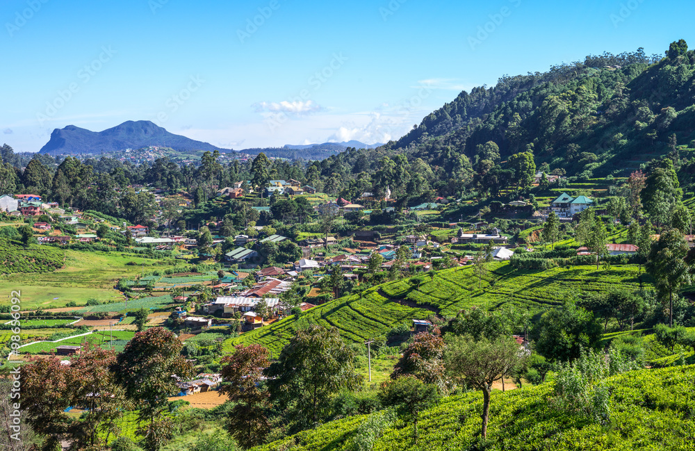 Sri Lanka, Nuwara Elija, view of the town between the field of tea