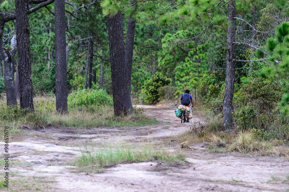 Obraz premium Cycling delivery service at travel place on mountain top of national park.