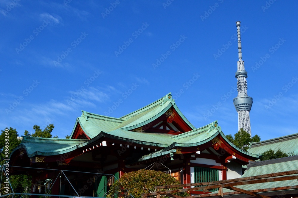神社と東京スカイツリー