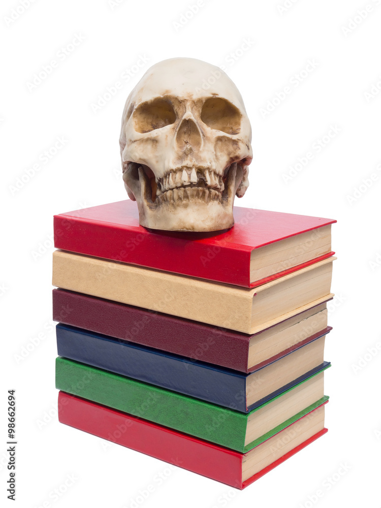 Skull of person and book. Skull of person and book.