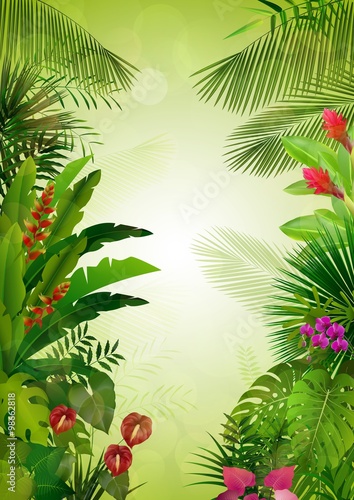 Fototapeta Naklejka Na Ścianę i Meble -  Exotic tropical background