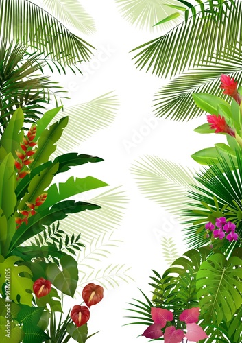 Fototapeta Naklejka Na Ścianę i Meble -  Exotic tropical background