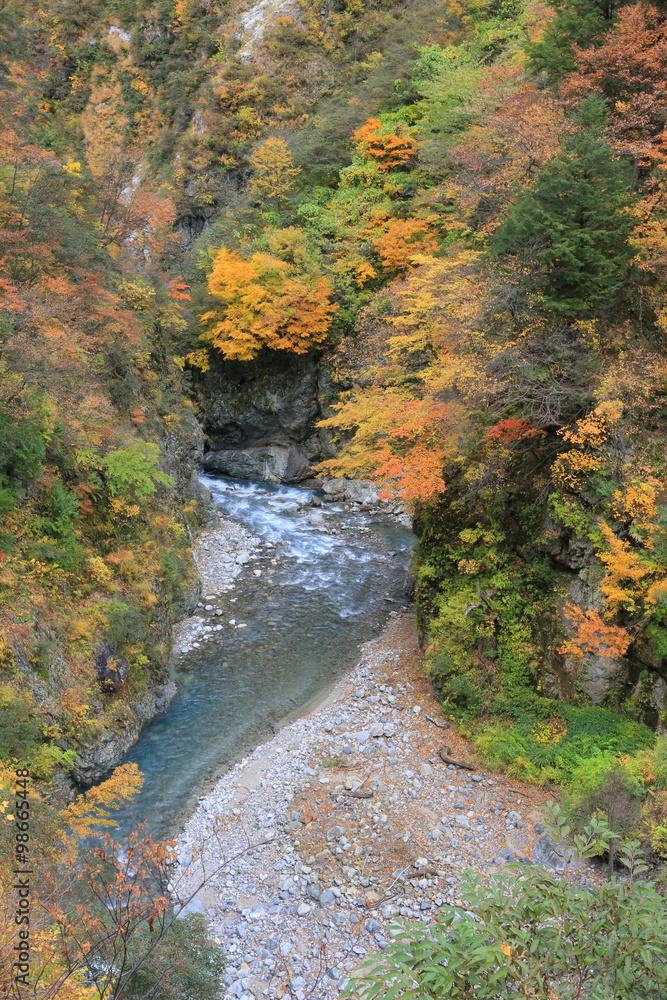 黒部峡谷
黒部峡谷