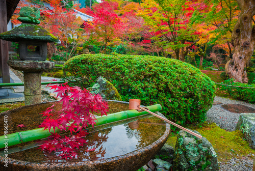 Fotografi 京都　圓光寺の紅葉