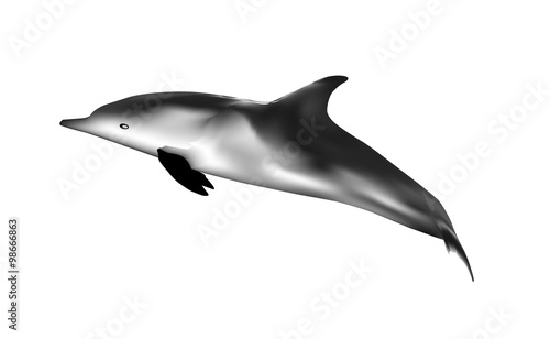 Delfin