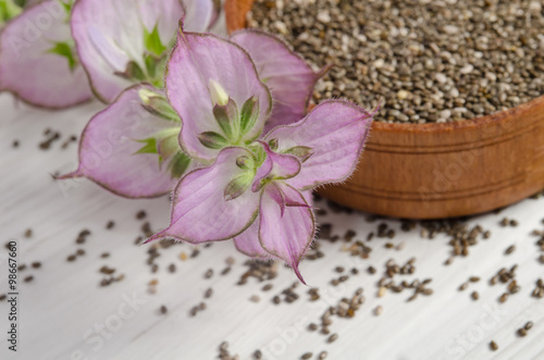 Chia seed healthy super food with flower over white wood backgro