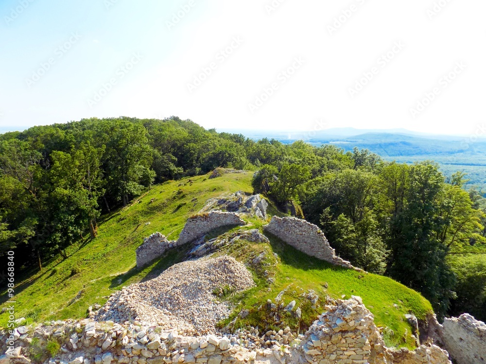 Castle ruins and deciduous forest Castle ruins and deciduous forest