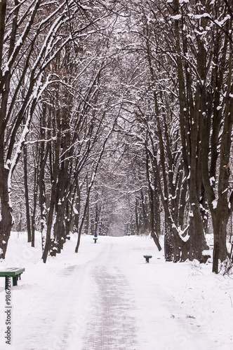 Winter park alley