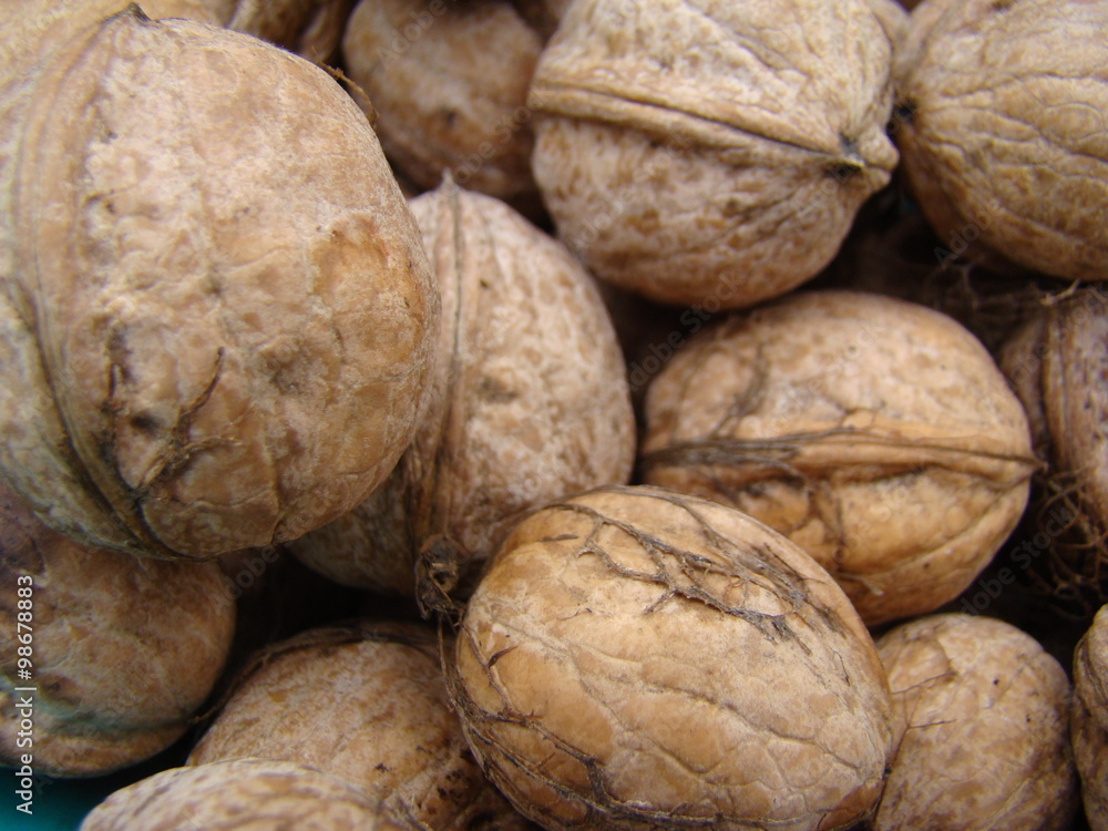 walnut walnut