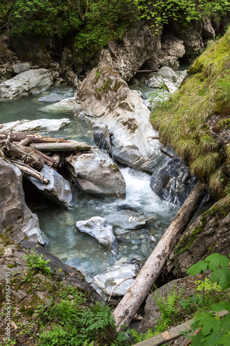 ein Gebirgsbach in einem Wald in   sterreich