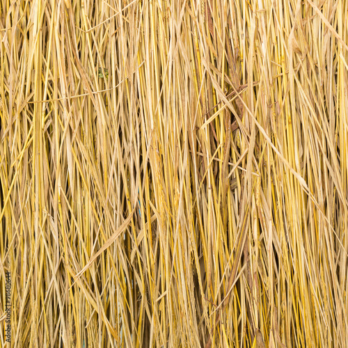 Wallpaper Mural yellow golden straw bale showing texture and looses straws Torontodigital.ca