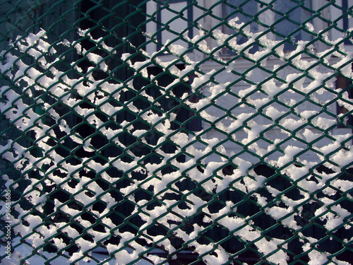 mesh fence winter