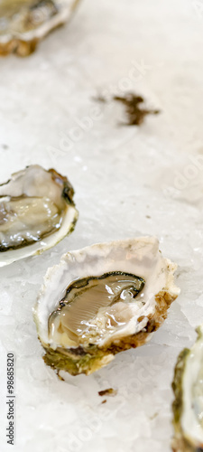 delicious oysters at market