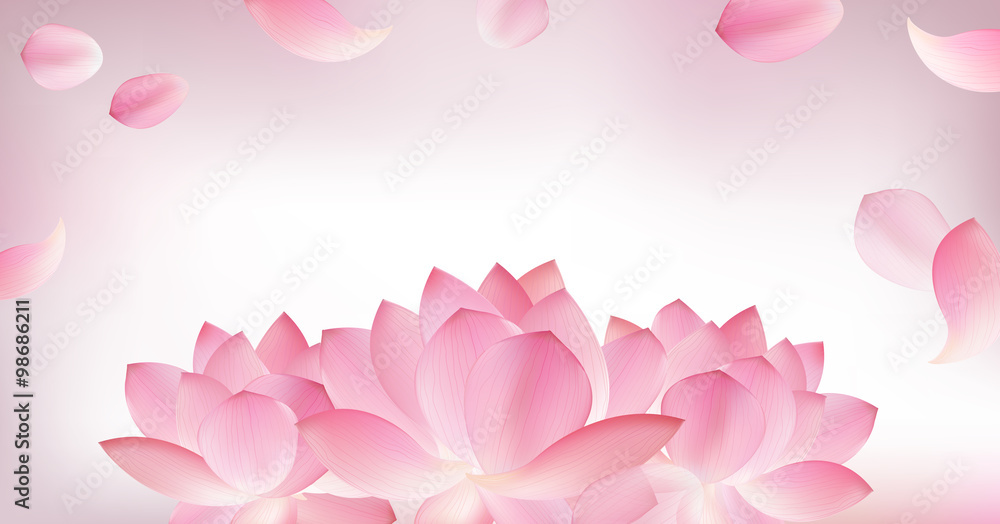 Blur pink background with pink petal of lotus Stock Vector | Adobe Stock