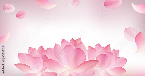 Fototapeta Naklejka Na Ścianę i Meble -  Blur pink background with pink petal of lotus