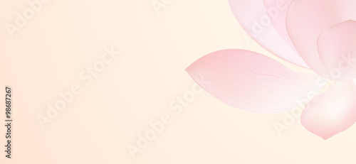 Fototapeta Naklejka Na Ścianę i Meble -  sweet pink lotus in soft and blur style for background