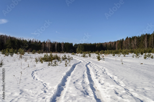 Large snow glade in winter forest