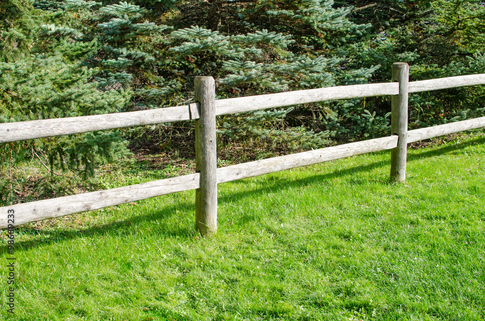 Wood fence and evergreen trees