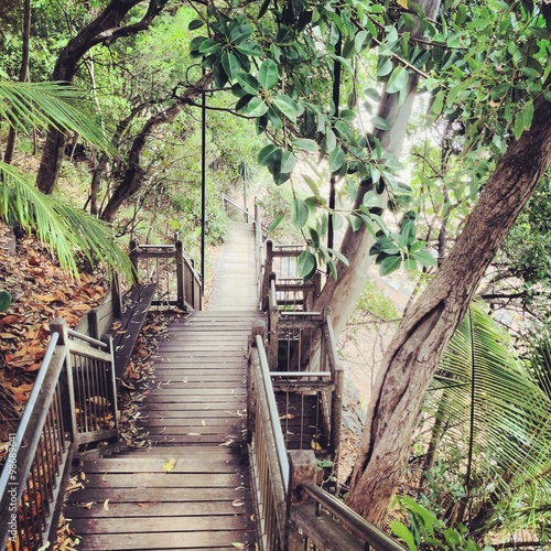 Escalier Noosa Beach