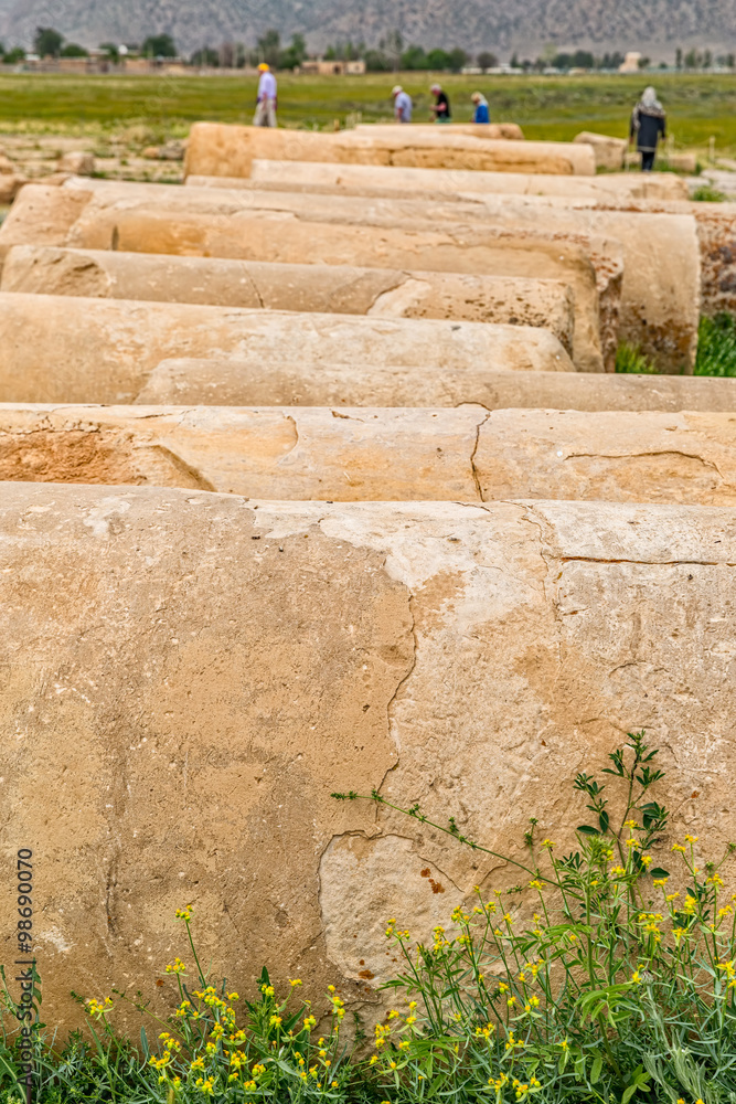 Pasargadae columns remains