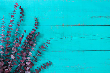 Blank rustic antique teal blue wood sign with eucalyptus border
