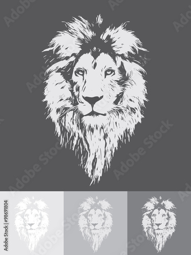 Portrait of a Beautiful lion