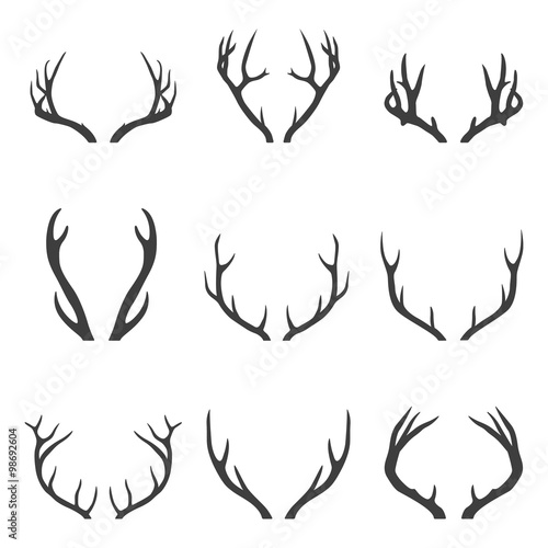 Set of deer horns