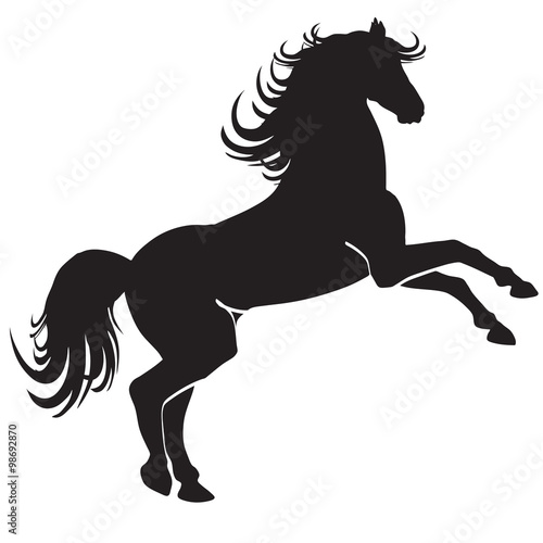 Fototapeta Naklejka Na Ścianę i Meble -  black horse silhouette 