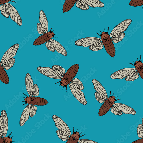Seamless pattern with cicada . Cicadidae. Chremistica umbrosa.     hand-drawn cicada . Vector photo