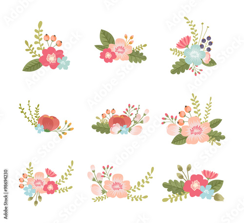 set of lovely flower design elements