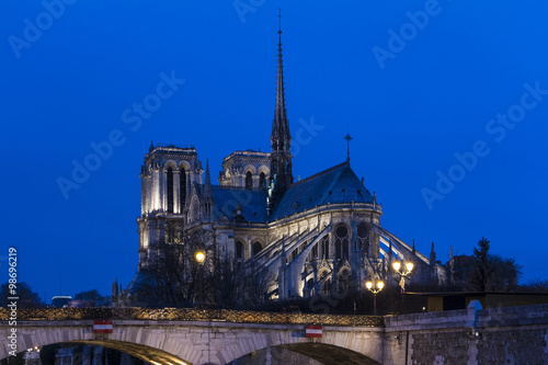 the cathedral Notre Dame of Paris.