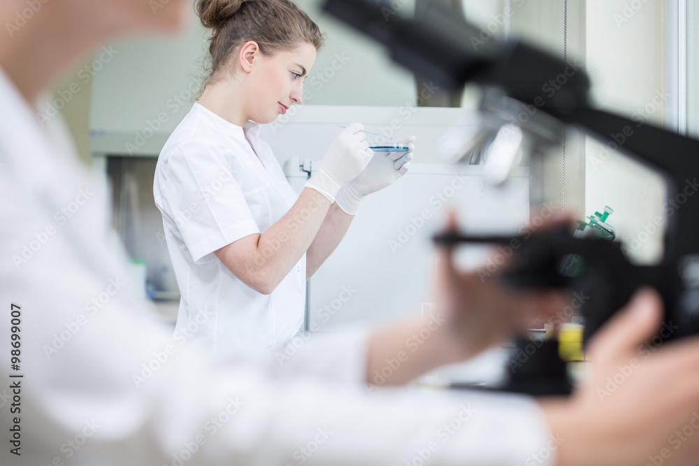 Working together in the laboratory Working together in the laboratory