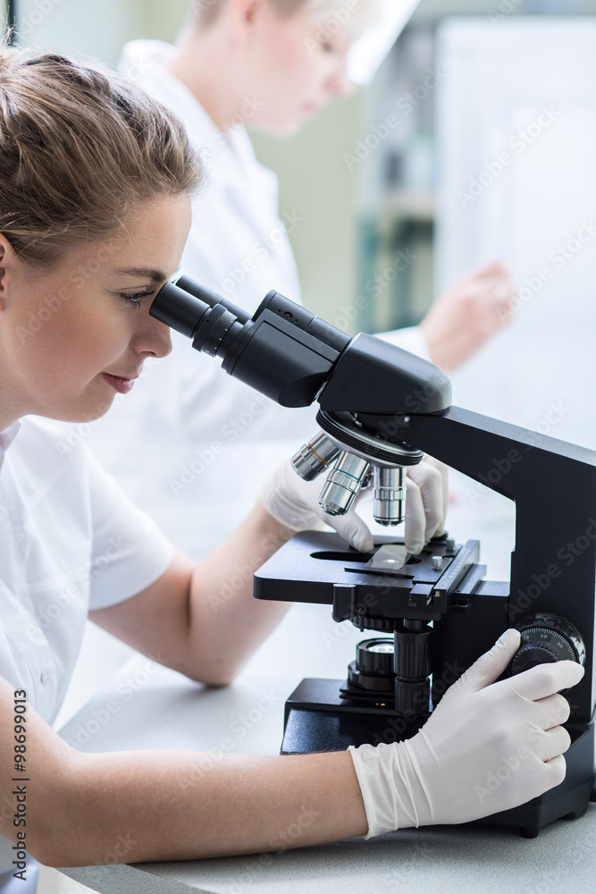Looking through a microscope Looking through a microscope