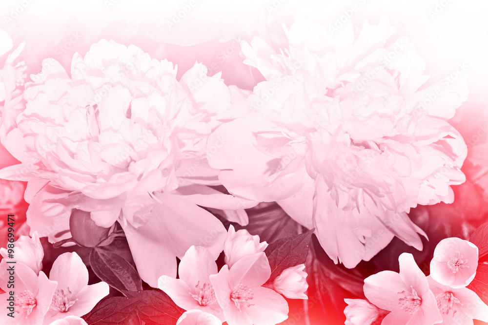 Floral background. Floral background.