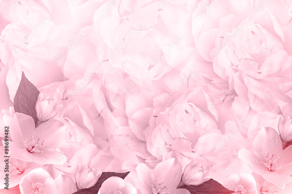 Fototapeta premium Floral background.